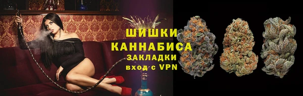 прущий лед Вязьма