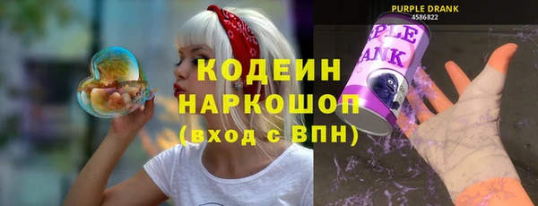 прущие грибы Михайлов