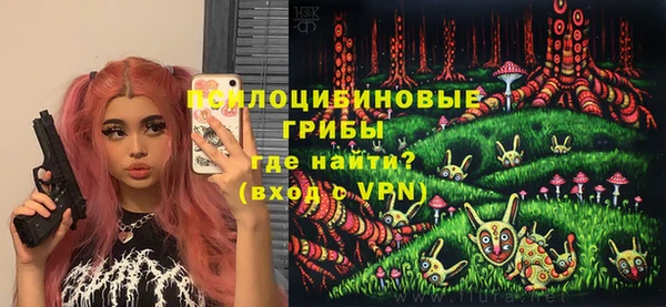 apvp Мегион