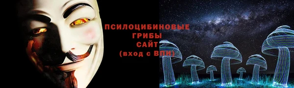 марки lsd Вяземский