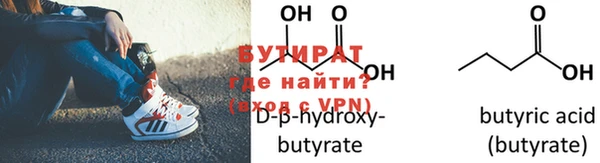 прущие грибы Михайлов