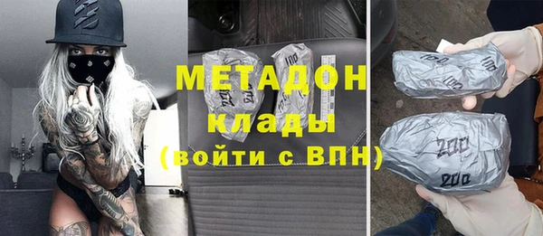прущие грибы Михайлов