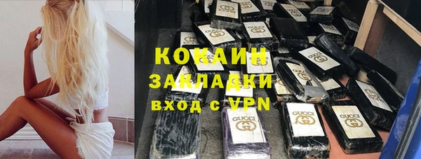 прущие грибы Михайлов