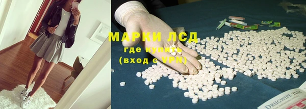прущие грибы Михайлов